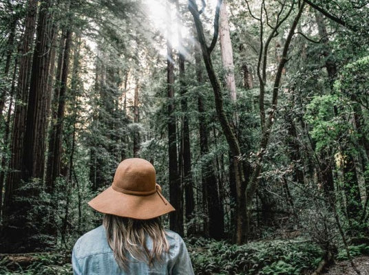 You Are A Forest
