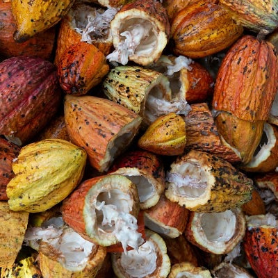 Cacao Pods